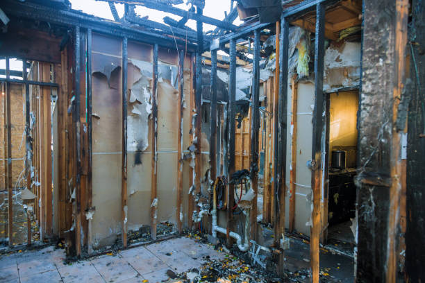 Professional Smoke Damage Removal technician working in Asbury Lake, FL